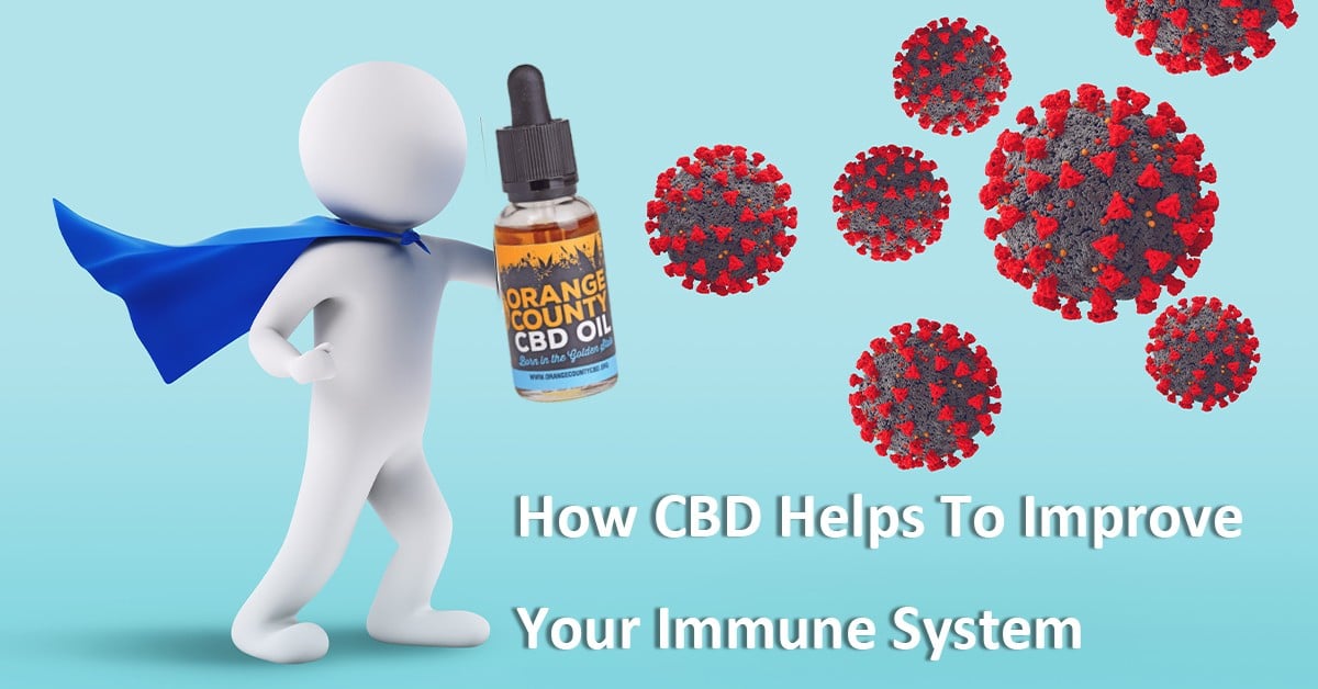 How Cbd Helps To Improve Your Immune System