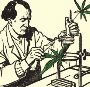 Roger-Adams-extracting-CBD-from-the-cannabis-plant-in-his-laboratory-Description -A-vintage-style-illustration-of-Roger-Adams-working-in-his-laborato
