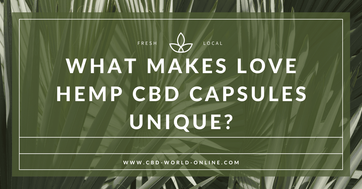 What makes Love Hemp CBD capsules unique?