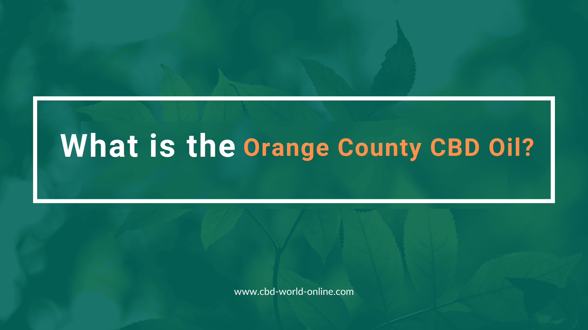 What is the Orange County CBD Oil?
