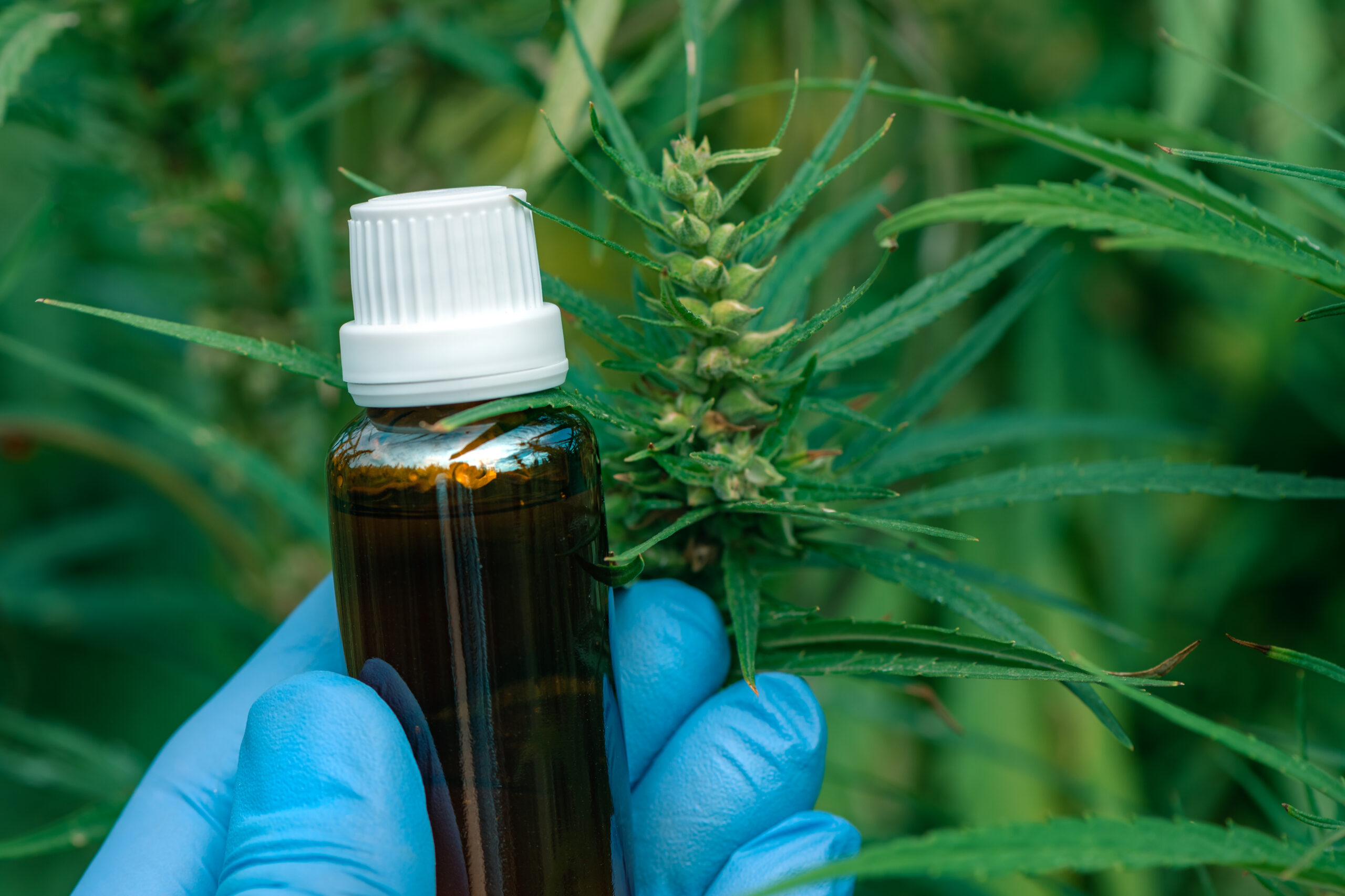 scientist holding cbd cannabis oil bottle close u 2022 02 02 04 50 21 utc scaled