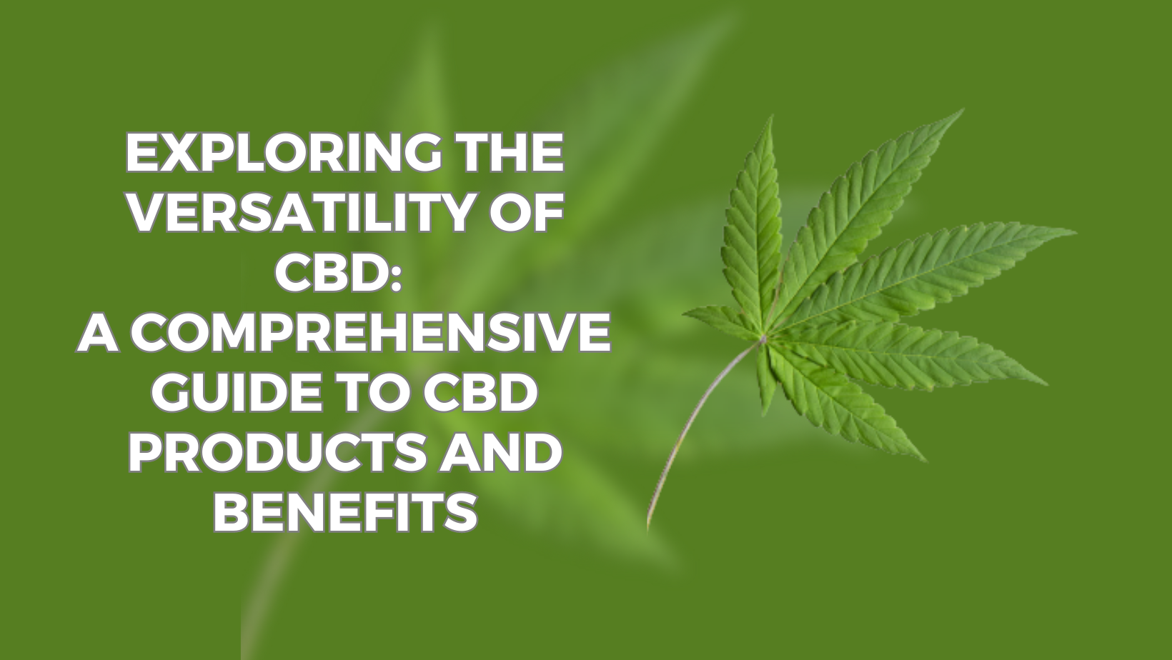 Exploring the Versatility of CBD: A Comprehensive Guide to CBD Products and Benefits